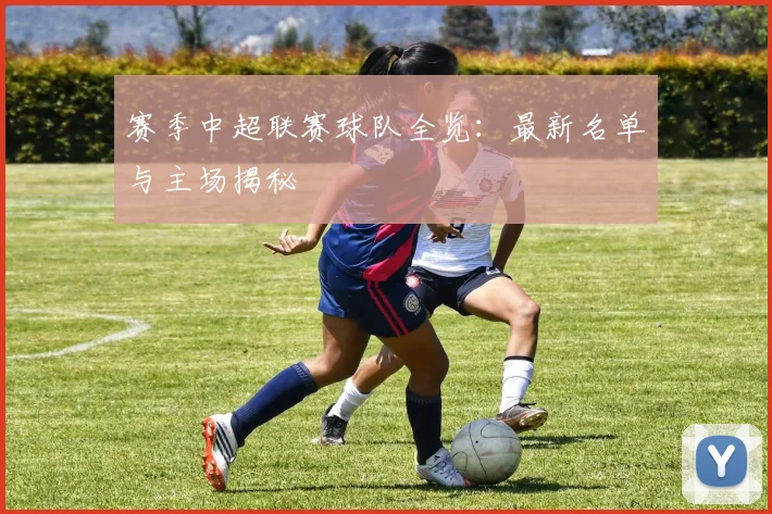 赛季中超联赛球队全览:最新名单与主场揭秘